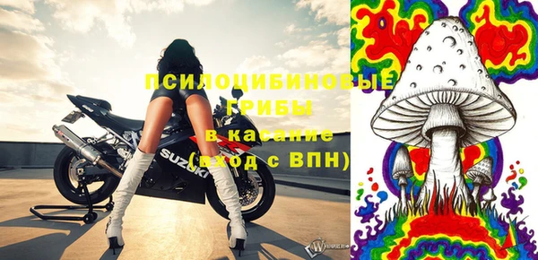гидра Кинешма