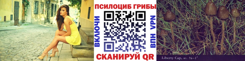 Купить где  Заводоуковск  Галлюциногенные грибы мицелий 