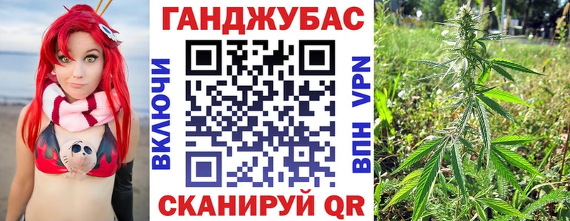Купить закладки  Заводоуковск  Каннабис марихуана 